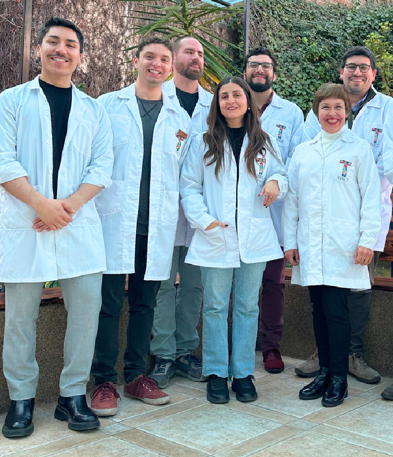 Profesores de Preuniversitario Tesla